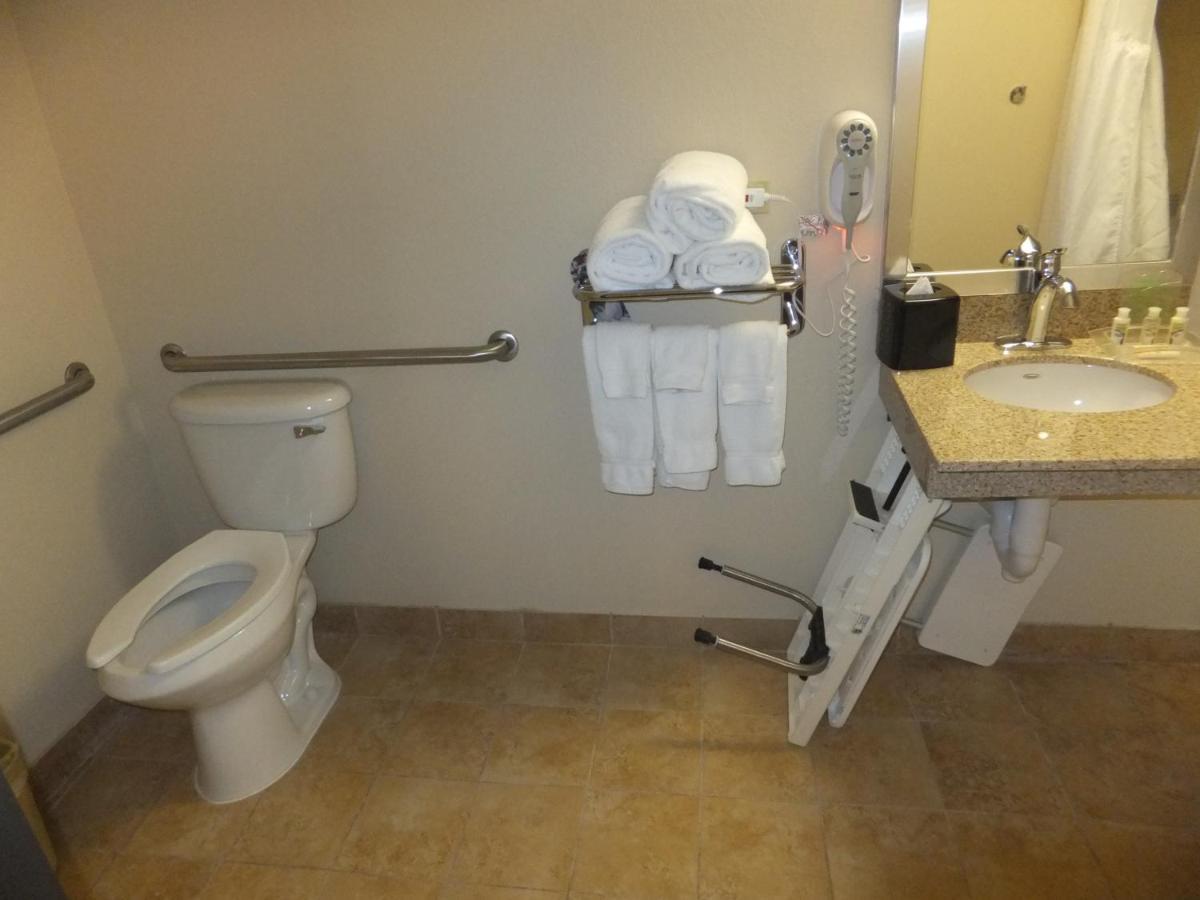 Holiday Inn Mount Prospect-Chicago Room photo